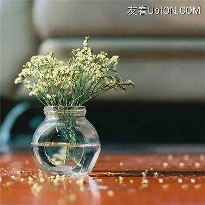 铸剑师单职业bt版本下载